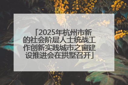 2025年杭州市新的社会阶层人士统战工作创新实践城市之窗建设推进会在拱墅召开