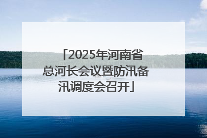 2025年河南省总河长会议暨防汛备汛调度会召开