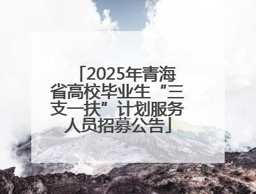 2025年青海省高校毕业生“三支一扶”计划服务人员招募公告