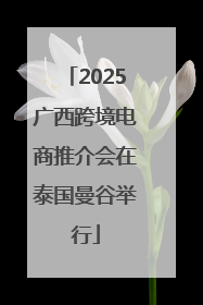 2025广西跨境电商推介会在泰国曼谷举行