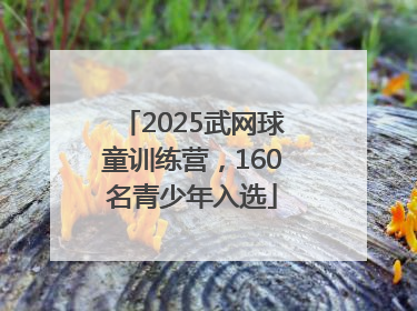 2025武网球童训练营，160名青少年入选