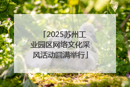 2025苏州工业园区网络文化采风活动圆满举行
