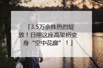 3.5万余株热烈绽放！日照这座高架桥变身“空中花廊”！