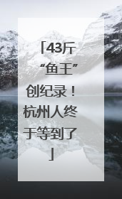 43斤“鱼王”创纪录！杭州人终于等到了