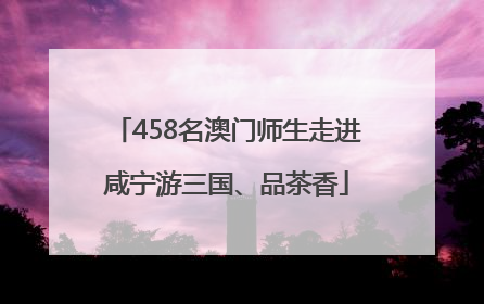 458名澳门师生走进咸宁游三国、品茶香
