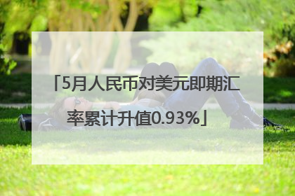5月人民币对美元即期汇率累计升值0.93%