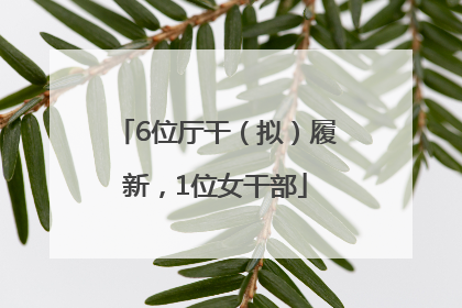 6位厅干（拟）履新，1位女干部