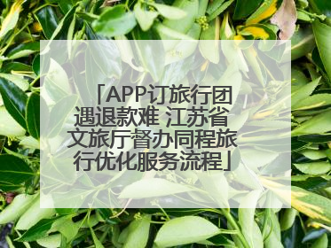 APP订旅行团遇退款难 江苏省文旅厅督办同程旅行优化服务流程