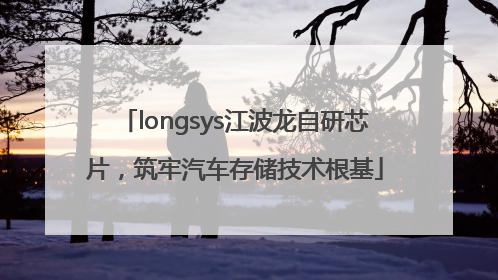 longsys江波龙自研芯片，筑牢汽车存储技术根基